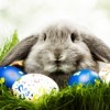 FREE Kids Club Event: Easter Celebration