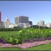 La Participación con Firmas Minoritarias y de Mujeres del Distrito de Parques de Chicago Cerca a $45m en el 2015