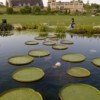 Chicago Park District MBE/WBE Participation Nearly $45m in 2015