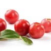 Los Arándanos Rojos Pueden Ayudar a Combatir Infecciones Urinarias en Forma Natural, Pero no en Jugo