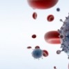 HIV Spreads Through the Body Much Faster Than Previously Thought