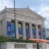 El Shedd Aquarium se Asocia con Lurie Children’s Hospital para Nombrar a un Pingüino