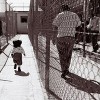 Report Finds: 186,000 Illinois children have a parent who has been incarcerated