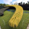 El Distrito de Parques de Chicago Gana la Medalla de Oro en el Show de Jardinería Internacional