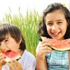 ‘Take a Bite Out of Summer’ – Evento Comidas de Verano