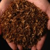 La Ciudad Da Los Pasos Necesarios para Implementar la Ley del Tabaco a los 21 Años