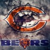 Vamos Bears