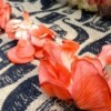 McKinley Park Presenta Luau Hawaiano