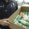 The Better Business Bureau Joins Law Enforcement Agencies in Taking the Bite Out of Zika Scammers