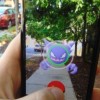 Mayor Robert J. Lovero, the Berwyn Park District, and the Berwyn Police Department Hold Pokémon Go Event at Proksa Park