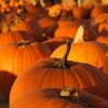 Family Fun with these Autumn Activities