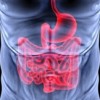 Scientists Find New Fat Clues in Feces