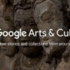 Viaje a Través del Tiempo con la Nueva Colección de Historia Natural en Google Arts & Culture
