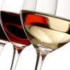 Un Brindis a los Amantes del Vino