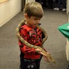 The Peggy Notebaert Nature Museum Hosts Night of Cold-Blooded Fun