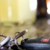 Berwyn Police Reminds Thanksgiving Travelers to Buckle Up, Drive Sober