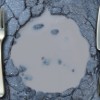 Aumenta el Hambre en los Campus de Colegio