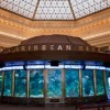 El Shedd Aquarium Pide al Público que se Una a la Misión de Ayudar a Animales que lo Necesitan