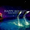 Wintery, Watery Wonderland at Shedd Aquarium