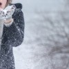 Noviembre es el Mes de Preparación para el Invierno en Illinois
