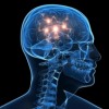 Cómo Aprovecharon los Investigadores la Actividad Cerebral para Estimular la Confianza de la Gente
