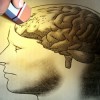Se Necesitan Voluntarios: Sea la Generación que Pone Fin al Alzheimer’s