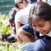 Parents United/Padres Unidos Celebrates 10 Years of Parent Leadership