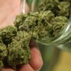 Frerichs Busca Cambio con Sentido Común para Proteger a Pacientes de Mariguana Médica