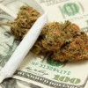 Frerichs Seeks Commonsense Change to Protect Medical Marijuana Patients