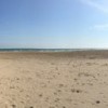Adopt-a-Beach Program Springs into Action for 2017 Beach Season