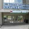 El Cambio Climático en la Exhibición de Peggy Notebaert Nature Museum