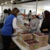 FEMA Awards Cicero Fire $130,000 for Smoke/Carbon Monoxide Detectors