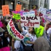 Illinois Business Immigration Coalition (IBIC) Publica Declaración Sobre la Revocación de DACA