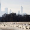ComEd’s Energy System is Ready to Serve Customers this Winter
