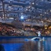 Eventos de la Temporada Navideña en el Shedd Aquarium