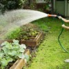 Young Gardeners Eat More Greens in First Year at College