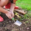 Los Jóvenes Jardineros Comen Más Frutas y Verduras en el Primer Año de Universidad