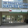 Voluntariado en el Museo de Naturaleza Notebaert