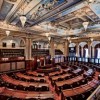 Indivisible West Suburban Action League to Host Illinois 4th Congressional District Democratic Party Candidates Forum