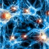 El Hospital Northwestern Memorial Extiende su Servicio de Telestroke con el Nuevo Programa de Neurología en el Hospital St. Anthony