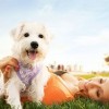 Las Mascotas son un Beneficio para Nuestra Salud Mental