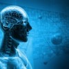 Cómo Restaurar la Creación de la Memoria en Cerebros Envejecientes o Dañados