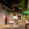 Héroes Desconocidos – Nueva Exhibición en el Museo Illinois State en Springfield