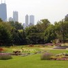 Chicago Park District Looking for Ambassadors