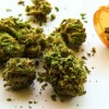 Second Death of An Individual Who Used Synthetic Cannabinoids