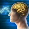 How the Brain Decides to Make an Effort