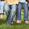 Chicago Park District Continues to Limit Use of Pesticides in Parks
