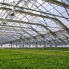TIF Assistance Will Support Gotham Greens Expansion in Pullman