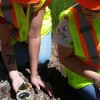 Triton’s GENIUS Scholarship Program to Support Talented Science Students