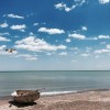 Pure Chicago: “Hidden” Gems of Rogers Park